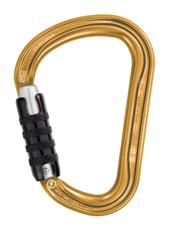 M36A-TLY-WILLIAM-TL-GOLD.jpeg